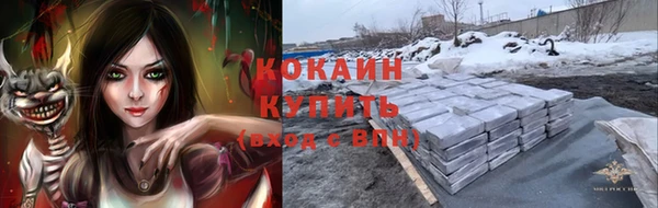 ГАЛЛЮЦИНОГЕННЫЕ ГРИБЫ Алексеевка