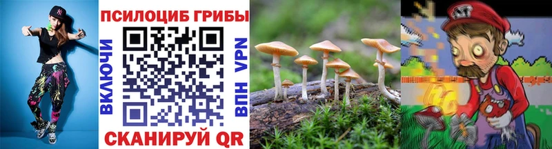 где купить наркотик  Ачинск  Псилоцибиновые грибы ЛСД 