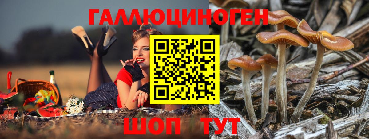 купить наркотики цена  Псилоцибиновые грибы Magic Shrooms  Вход с VPN  Псилоцибиновые грибы ЛСД  Ачинск 